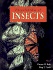 Encyclopedia of Insects
