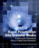 Rapid Penetration Into Granular Media: Visualizing the Fundamental Physics of Rapid Earth Penetration 1ed