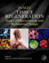 In Situ Tissue Regeneration: Host Cell Recruitment and Biomaterial Design 1ed