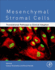 Mesenchymal Stromal Cells: Translational Pathways to Clinical Adoption