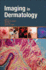 Imaging in Dermatology: 1ed