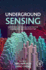 Underground Sensing: Monitoring and Hazard Detection for Environment and Infrastructure 1ed