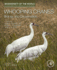 Whooping Cranes: Biology and Conservation: Biodiversity of the World: Conservation From Genes to Landscapes 1ed