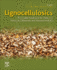 Lignocellulosics: Renewable Feedstock for (Tailored) Functional Materials and Nanotechnology 1ed
