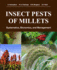 Insect Pests of Millets: Systematics, Bionomics, and Management 1ed