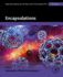 Encapsulations (Volume 2) (Nanotechnology in the Agri-Food Industry, Volume 2)
