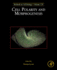 Cell Polarity and Morphogenesis: 1ed