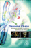 Genome Chaos: Rethinking Genetics, Evolution, and Molecular Medicine