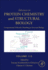 Computational Molecular Modelling in Structural Biology