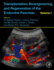 Transplantation, Bioengineering, and Regeneration of the Endocrine Pancreas: Volume 1 1ed