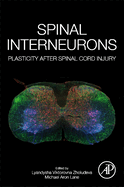 Spinal Interneurons: Plasticity After Spinal Cord Injury 1ed