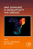 Wnt Signaling in Development and Disease (Volume 153) (Current Topics in Developmental Biology, Volume 153)