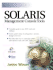 Solaris Management Console Tools