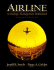Airline: a Strategic Management Simulation