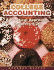 College Accounting: a Practical Approach, Chapters 1-26
