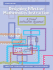 Designing Effective Mathematics Instruction: a Direct Instruction Approach (4th Edition)