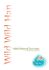 International Business: the Challenges of Globalization
