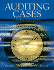 Auditing Cases: an Interactive Learning Approach