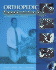 Orthopedic Physical Examination Tests: an Evidence-Based Approach