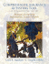 Comprehensive Assurance & Systems Tool; an Integrated Practice Set; Manual Practice Set