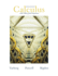 Calculus With Differential Equations