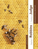 Organizational Behavior Plus Mymanagementlab With Pearson Etext, 17ed. Global Edition