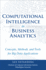 Computational Intelligence in Business Analytics: Concepts, Methods, and Tools for Big Data Applications