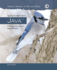 Objects First With Java: a Practical Introduction Using Bluej, Global Edition