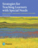 Strategies for Teaching Learners With Special Needs