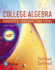 Corequisite Support for College Algebra: Concepts Through Functions