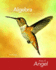 Algebra for College Students (Algebra for College Students Camden County College Edition)