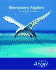 Elementary Algebra Early Graphing for College Students [With Cdrom]