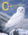 C++ Programming Today, 2/E (Cd)