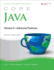Core Java: Advanced Features (Core Series)