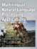 Multilingual Natural Language Processing Applications: From Theory to Practice (Ibm Press)
