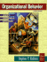 Organizational Behavior: Concepts, Controversies, Applications