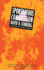 Spontaneous Combustion / David B. Feinberg
