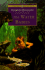 The Water-Babies (Puffin Classics)