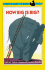 How Big is Big? : Level 1 (Easy-to-Read, Puffin)
