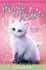 Firelight Friends (Magic Kitten)