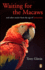 Waiting for the Macaws