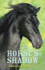 The Horses Shadow