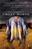 The Journey of Crazy Horse: a Lakota History