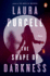 The Shape of Darkness: a Novel
