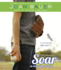 Soar