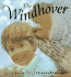 The Windhover