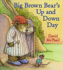 Big Brown Bear's Up and Down Day