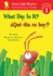 What Day Is It?/�Qu� D�a Es Hoy?: Bilingual English-Spanish