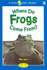 Where Do Frogs Come From?