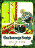 Chattanooga Sludge: Cleaning Toxic Sludge From Chattanooga Creek
